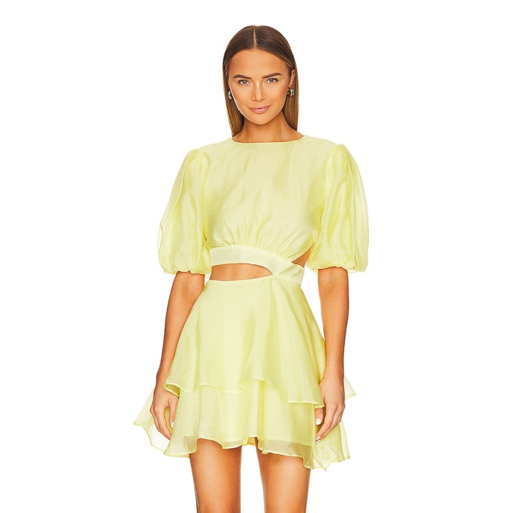 Bardot Enya Organza Mini Dress Size XS/2